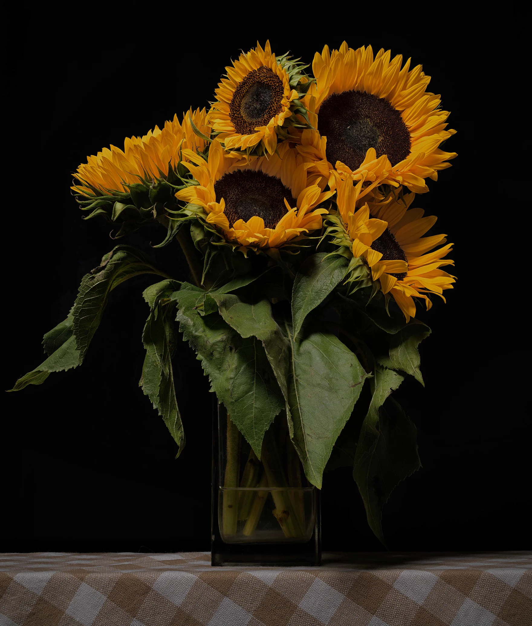 Flowers 02
